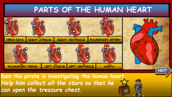 Body Organs Bundle|3rd-8th} 5 Interactive Google Slides Presentations + Powerpoint Versions + Worksheets