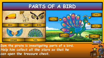 Parts of a bird: |1st-5th | Interactive Google Slides + Powerpoint + 3 Worksheets