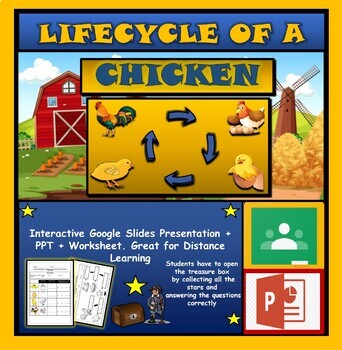 The Life Cycle of a Chicken |1st-6th| Interactive Google Slides + Powerpoint Version + 2 worksheets