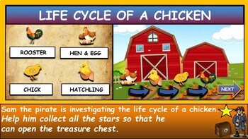 The Life Cycle of a Chicken |1st-6th| Interactive Google Slides + Powerpoint Version + 2 worksheets