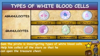 Types Of White Blood Cells|6th-10th| Interactive Google Slides + Powerpoint Version + Printable Worksheets