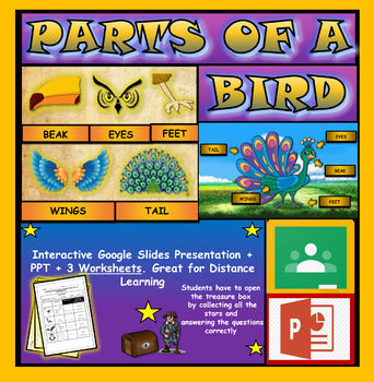 Parts of a bird: |1st-5th |  Interactive Google Slides + Powerpoint + 3 Worksheets