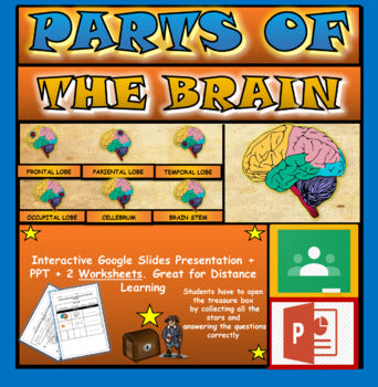 Parts of the Human Brain: |3rd-8th| Google Slides+ Powerpoint Version. Brain Anatomy + Google Slides