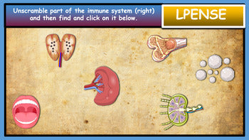 A: Body Systems Bundle |3rd-8th| 5 Google Slides Presentations + Powerpoint Versions + Printable  Worksheets