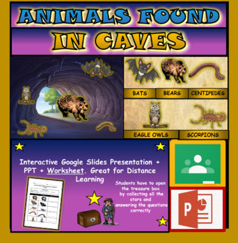 Animals found in caves |1st-5th| Interactive Google Slides + Powerpoint + Worksheet