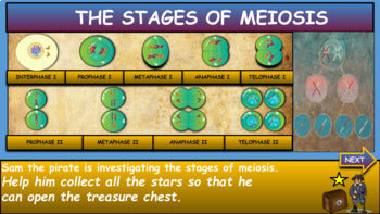 A: Cell Division and Reproduction: Big Bundle: 5 Google Slides Presentations