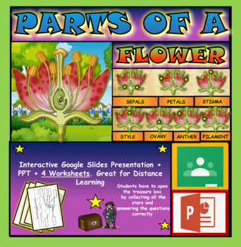 Parts of a Flower |5th-9th| Interactive Google Slides + Powerpoint + 4 Worksheets