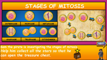 Stages of Mitosis: |5th-9th| Interactive Google Slides + Powerpoint+ 2 Worksheets