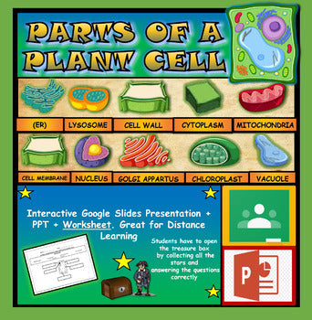 Parts Of A Plant Cell:|3rd-8th| Interactive Google Slides + Powerpoint Version + Worksheet