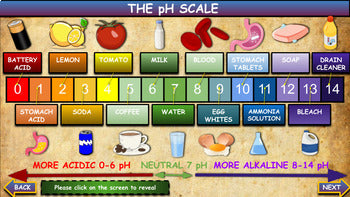 A: Middle School Chemistry|4th-8th| Powerpoint Presentations Lessons Bundle