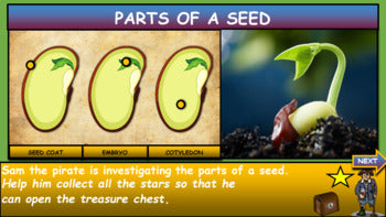 Parts of a Seed |3rd-8th| Interactive Google Slides + Powerpoint Version + 3 Worksheets