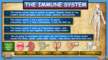 A: Body Systems Bundle |3rd-8th| 5 Google Slides Presentations + Powerpoint Versions + Printable  Worksheets